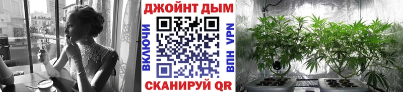 Купить  Лосино-Петровский  Каннабис тримм 